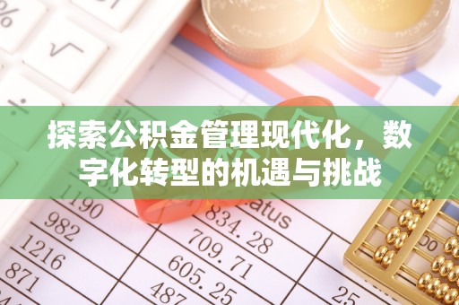 忻城探索公积金管理现代化，数字化转型的机遇与挑战