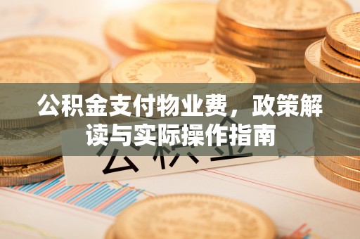 大关公积金支付物业费，政策解读与实际操作指南