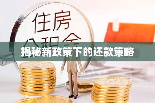 贵溪揭秘新政策下的还款策略
