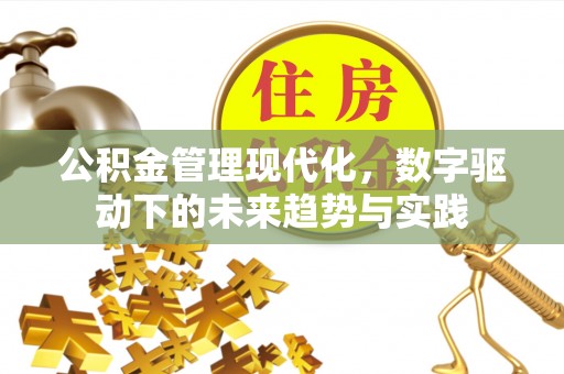浑南公积金管理现代化，数字驱动下的未来趋势与实践