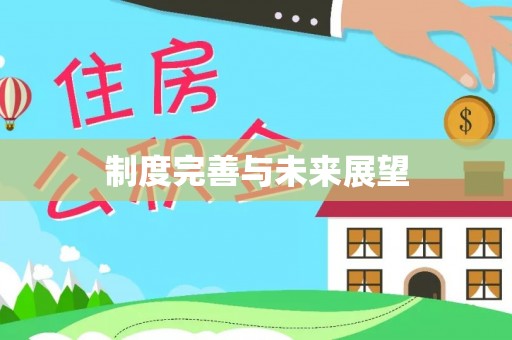 青州制度完善与未来展望