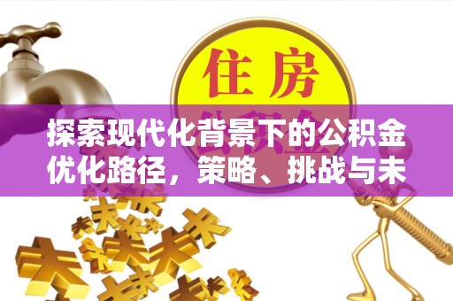 嘉模堂区探索现代化背景下的公积金优化路径，策略、挑战与未来展望