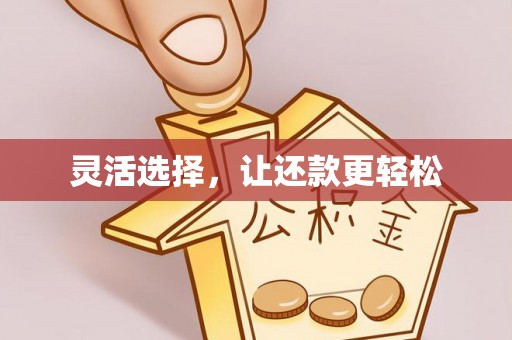 嘉兴灵活选择，让还款更轻松