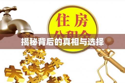 阿荣旗揭秘背后的真相与选择