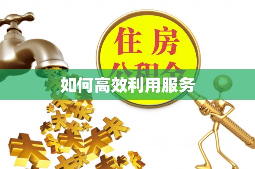 兴国如何高效利用服务