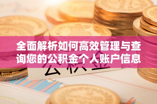 勉县全面解析如何高效管理与查询您的公积金个人账户信息