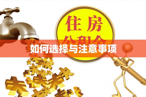 桥东如何选择与注意事项