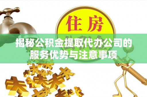 离岛揭秘公积金提取代办公司的服务优势与注意事项