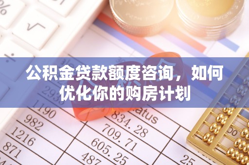 天心公积金贷款额度咨询，如何优化你的购房计划