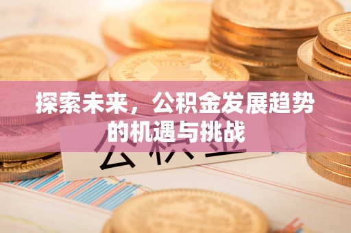 双牌探索未来，公积金发展趋势的机遇与挑战