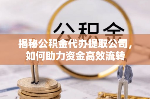 武隆揭秘公积金代办提取公司，如何助力资金高效流转