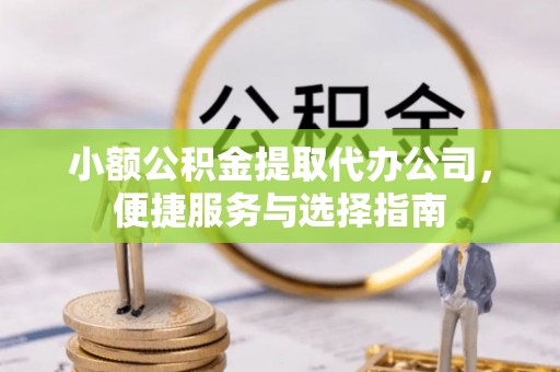 田阳小额公积金提取代办公司，便捷服务与选择指南