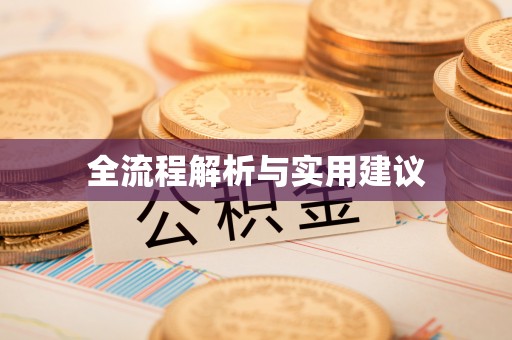 桃源全流程解析与实用建议