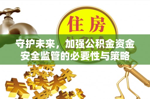 隆子守护未来，加强公积金资金安全监管的必要性与策略