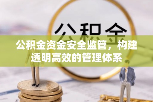 滨海新区公积金资金安全监管，构建透明高效的管理体系