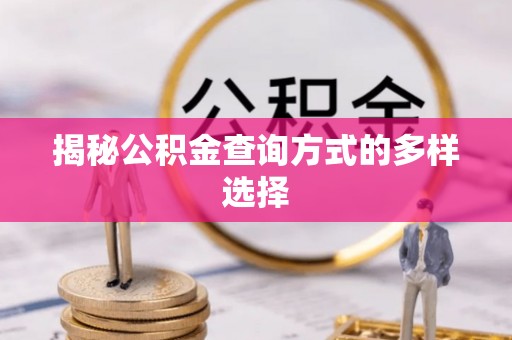 望花揭秘公积金查询方式的多样选择