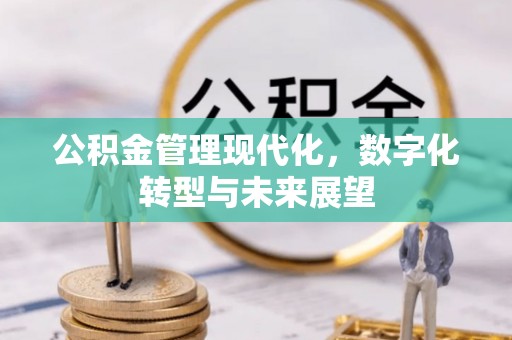 文县公积金管理现代化，数字化转型与未来展望
