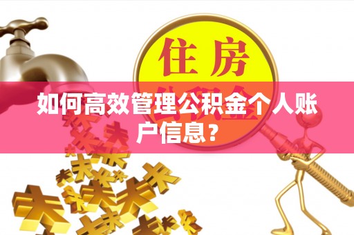 措勤如何高效管理公积金个人账户信息？