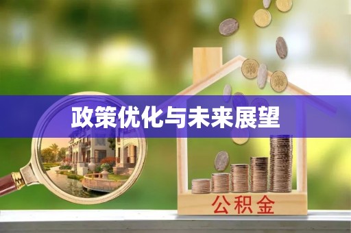 仙居政策优化与未来展望