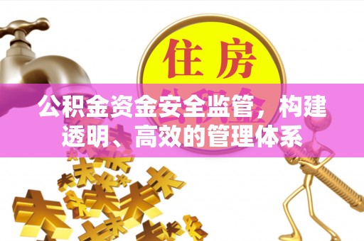 正安公积金资金安全监管，构建透明、高效的管理体系