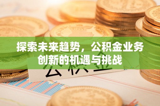 翁源探索未来趋势，公积金业务创新的机遇与挑战