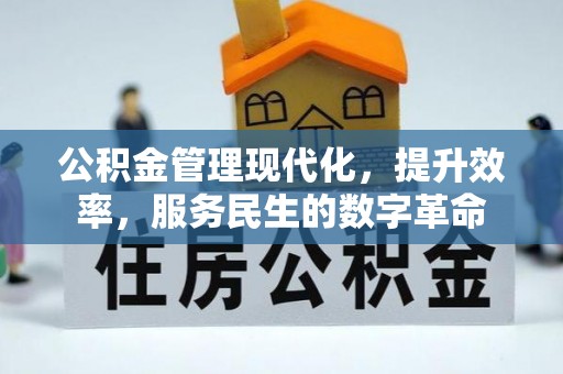 龙山公积金管理现代化，提升效率，服务民生的数字革命
