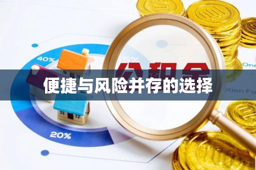 策勒便捷与风险并存的选择