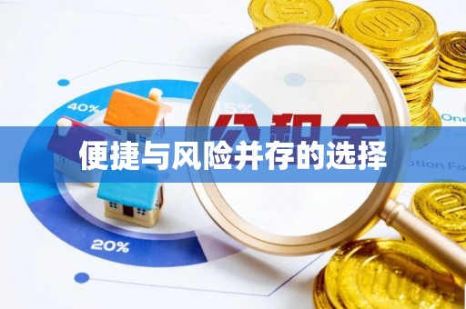策勒便捷与风险并存的选择