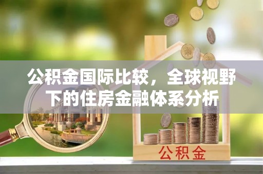 横峰公积金国际比较，全球视野下的住房金融体系分析